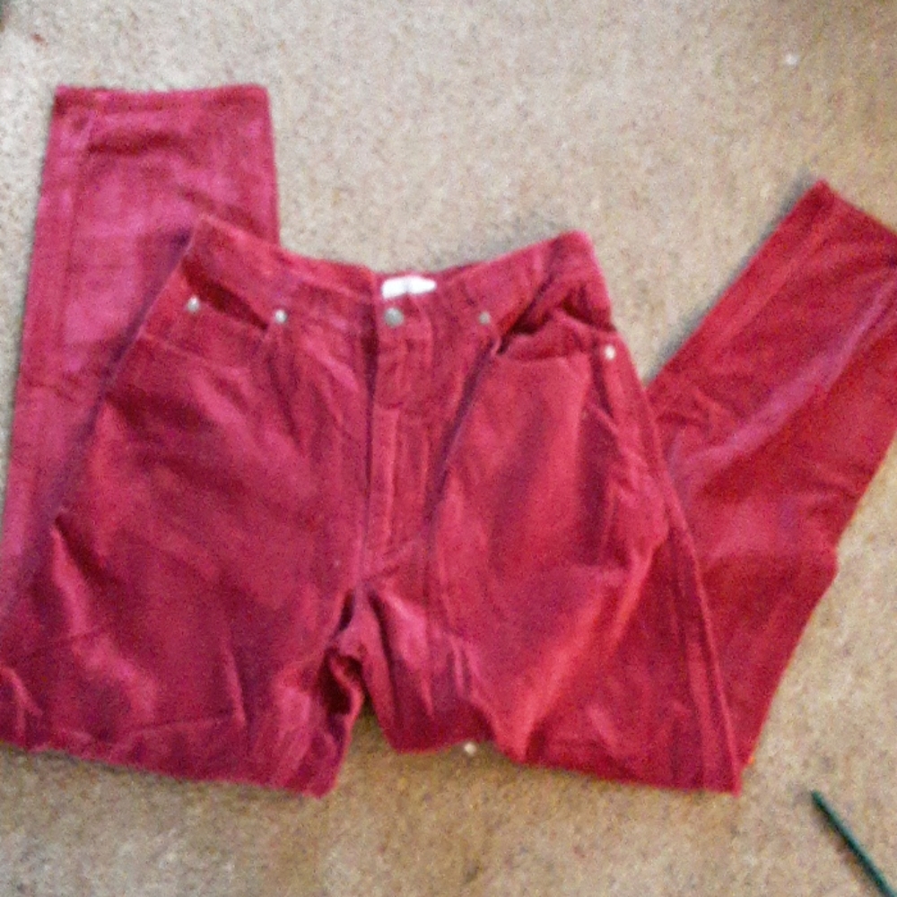 NWB casuals velour pants